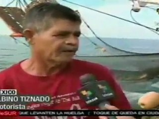 La pesca de camaron va a la baja en America Latina