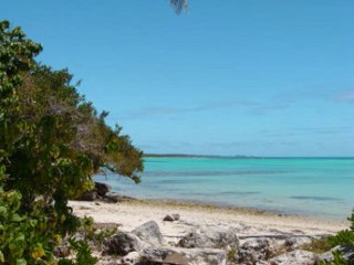 2009 12 piano PSR S900