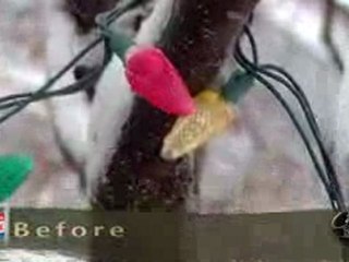 Are You Fit To Sell - Curb Appeal