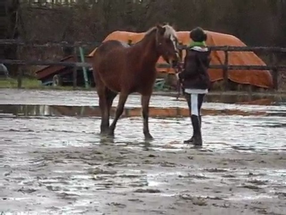 Thétis le 30 décembre 09