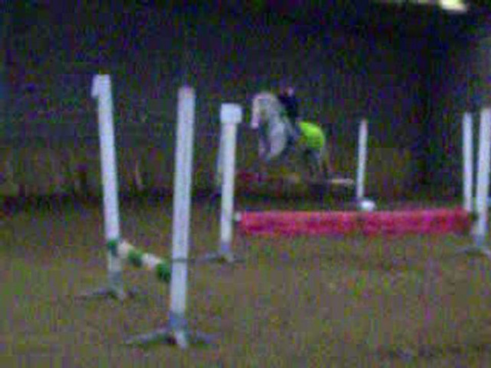 un petit concour pendant stage( la c Canelle