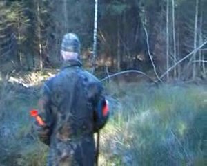 Vérification d'un tir de sanglier en ECOUVES décembre 2009