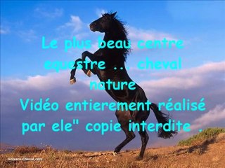 Cheval nature 1