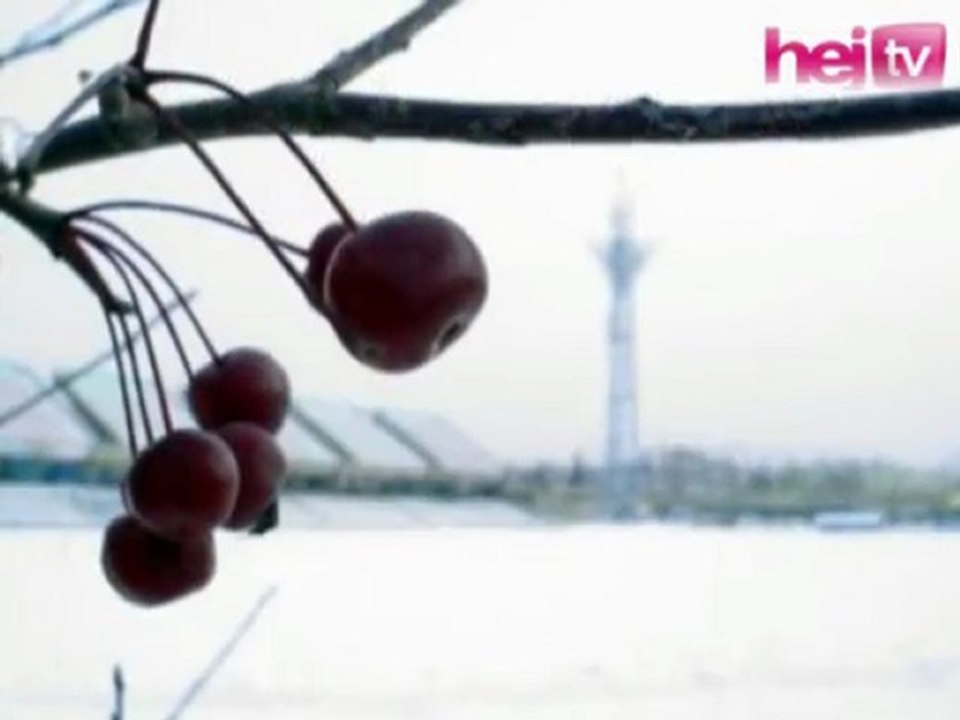 FKS Stal Mielec w roku 2009