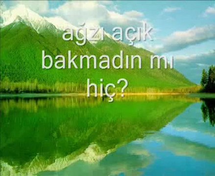 Mehmet Emin Ay Beyaz Dilekçe