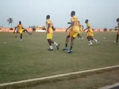 Ecureuils à l'entraînement