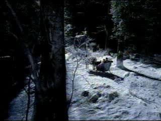 Commercial - Budweiser - --- horse