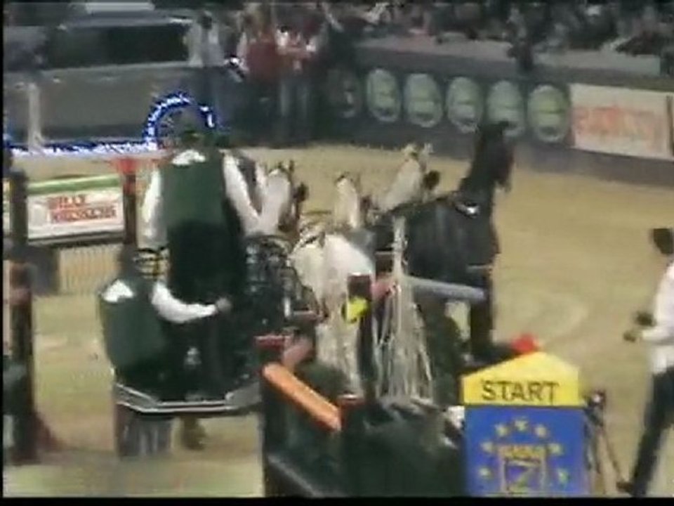 MALINES 2009 - Coupe - Chardon