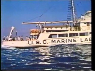 les trésors cachés 2