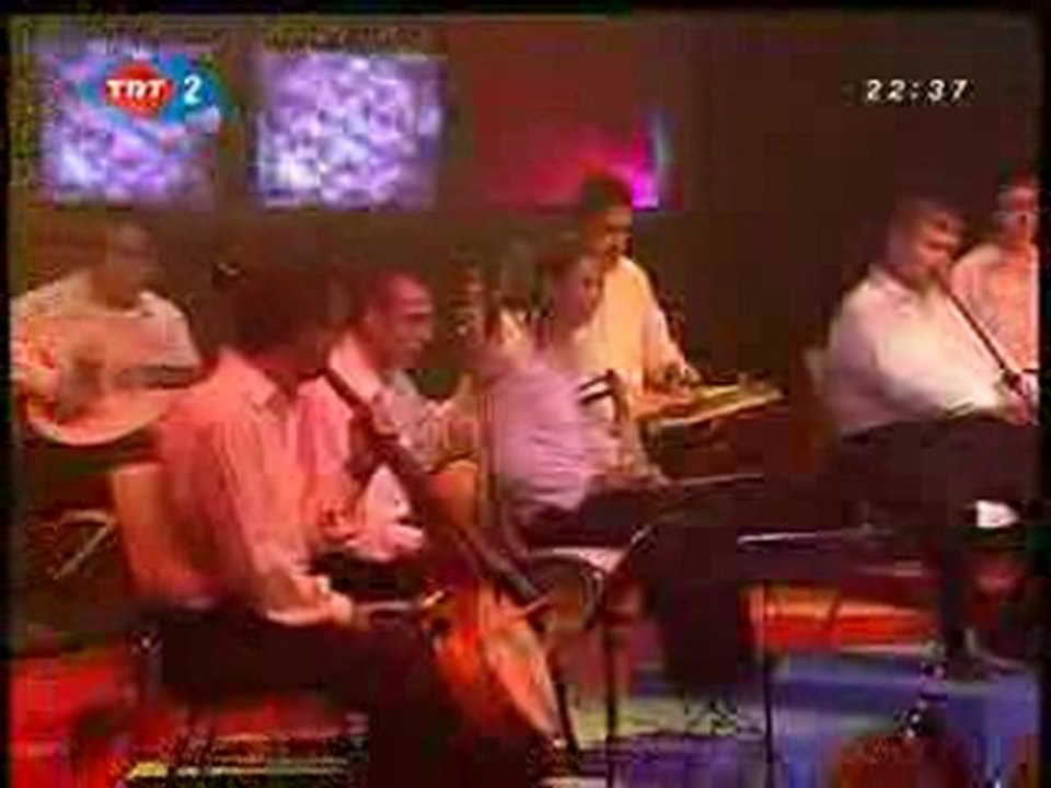 Bahçada Yeşil Çınar