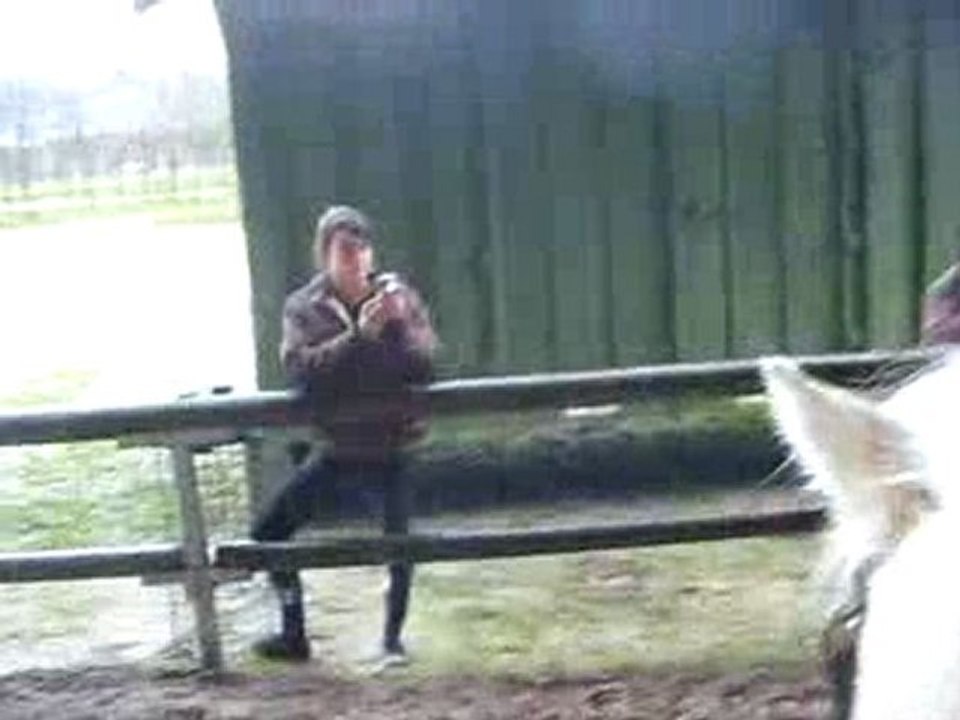 Pony Games a Lamotte ♥