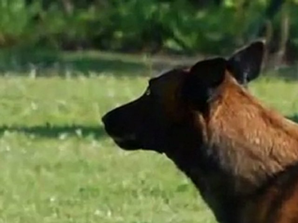 Nouvelle année 2010