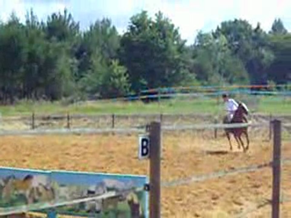 parcour de saut a son galop 4