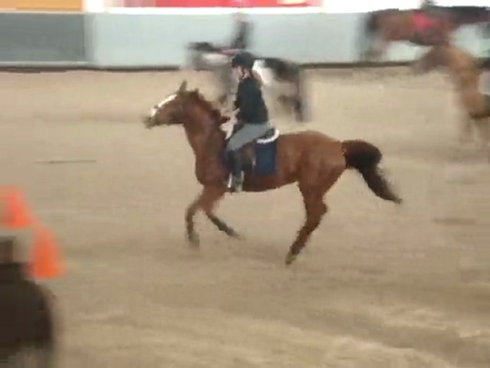 Stage du 28 Decembre 2009 : Biork du Cer