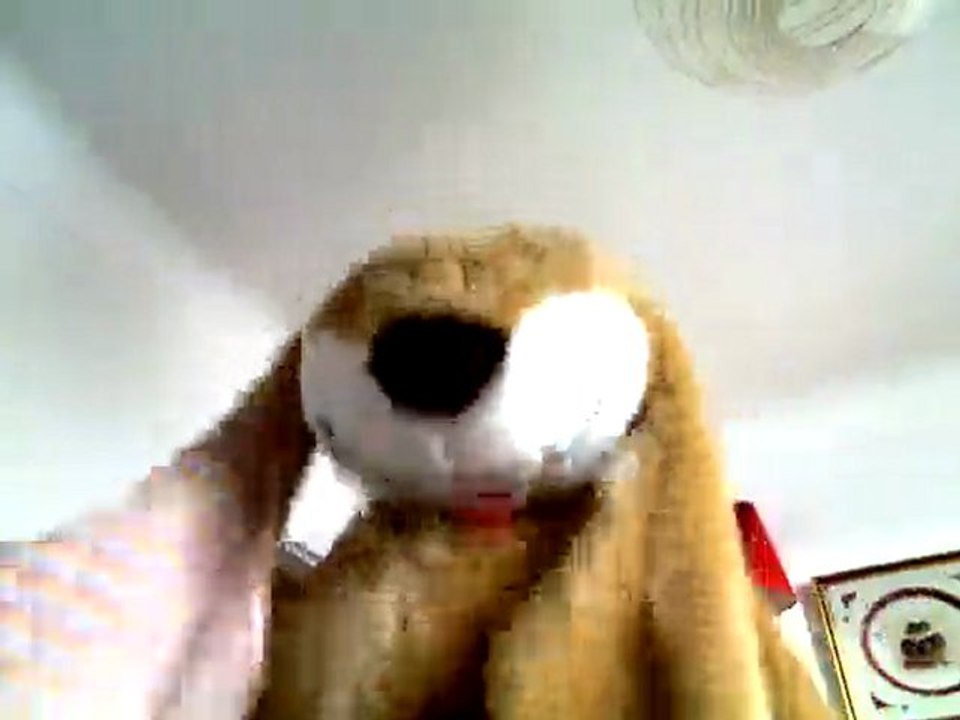 Wiwi muppetshowise "Canon de Pachelbel"