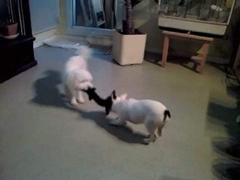 Edgar et Louna