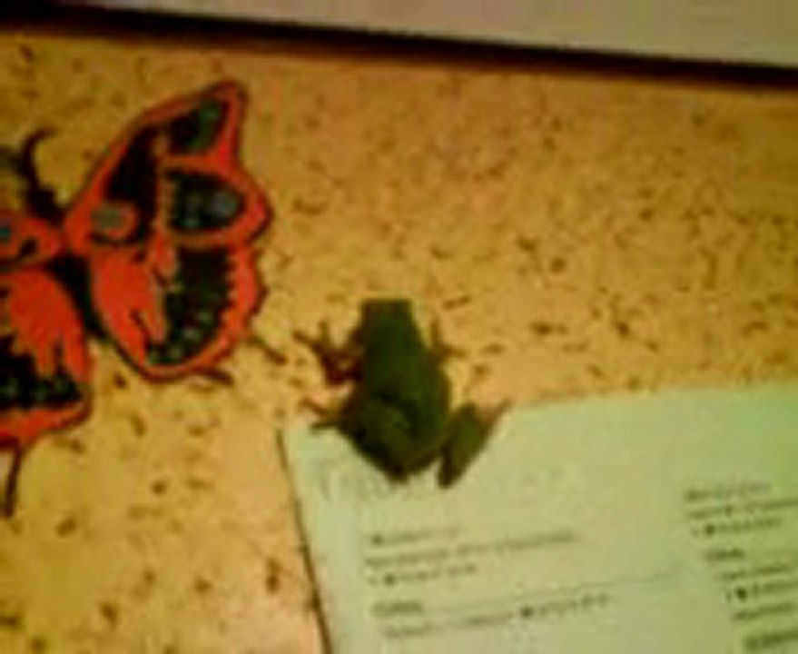 Grenouille