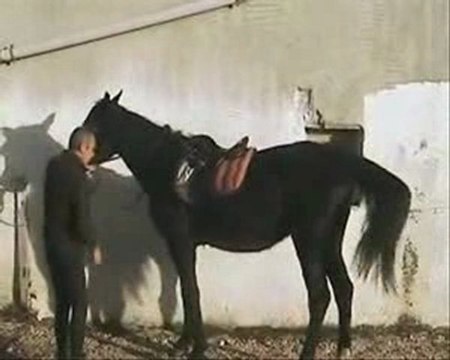 pas espagnol 1er demande