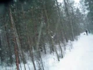 Vinter i Dalarna