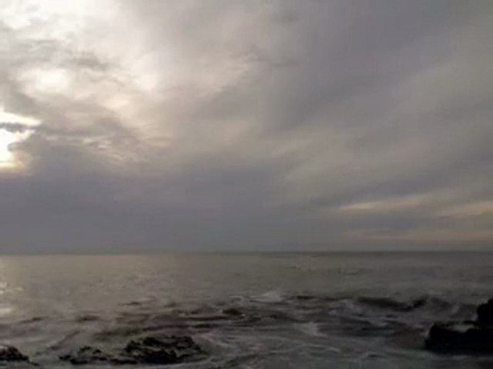 2010 : mes meilleurs vœux pour vous !