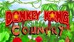 donkey kong country (GBA)