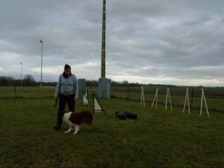 Déli, 21 mois, entrainement slalom couloir dec 09