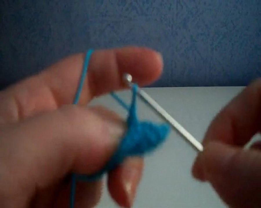 LE POINT D ECREVISSE - Leçon de crochet n°9