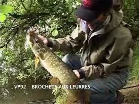 Brochets Aux Leurres