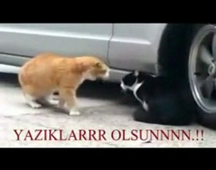 Bir Aşkın Bitiş Anı :)