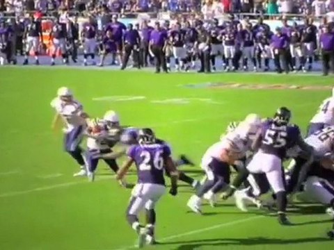 Maryland Zoo Ravens Hit Hard Like Ray Lewis.