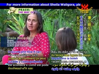 Brazilian Telepathic Animal Communicator Sheila Waligora