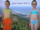 Voeux 2010