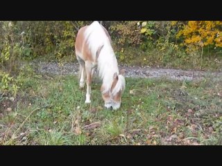 Année 2009, Toscana & Moi.