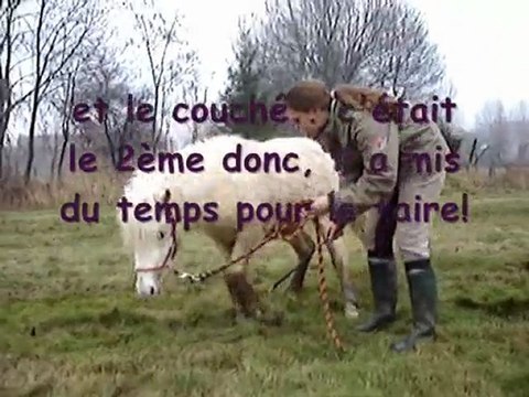 journée du 31 décembre 2009