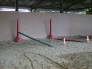 Saut de puce : étape 2