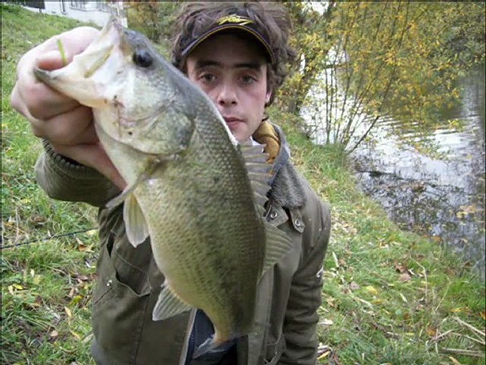 Mes plus beaux Fishs...