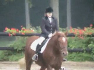 Concours dressage danette 2005