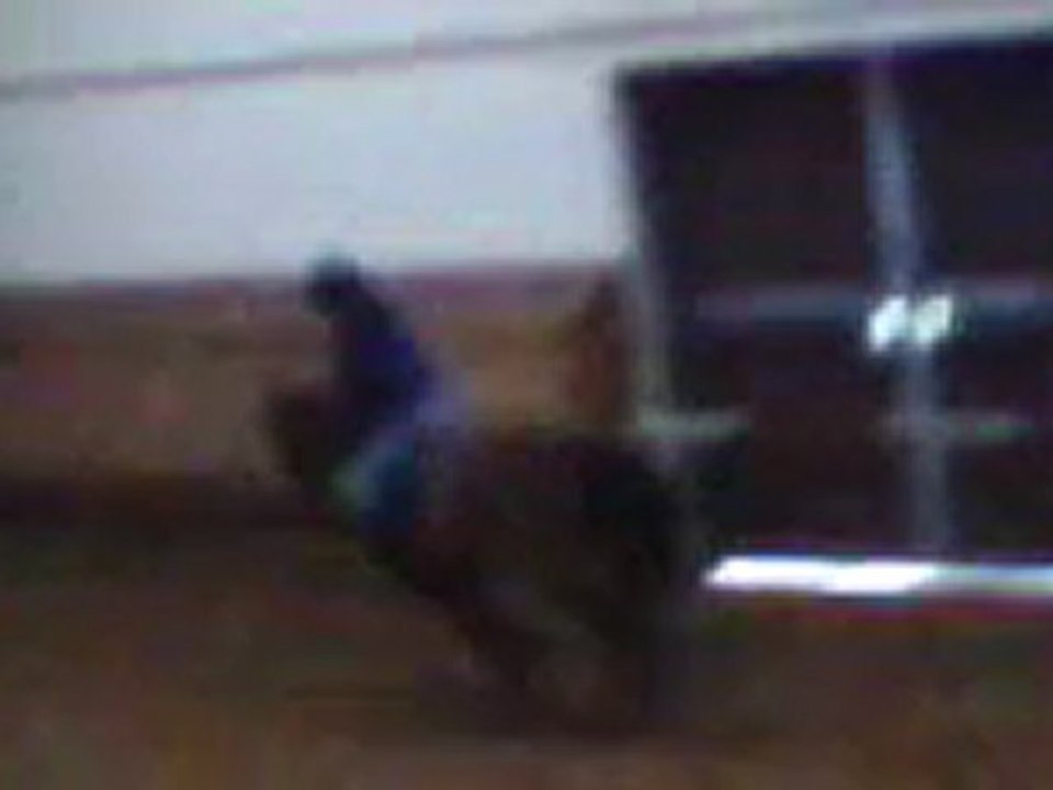 Mono & Panpan En Saut