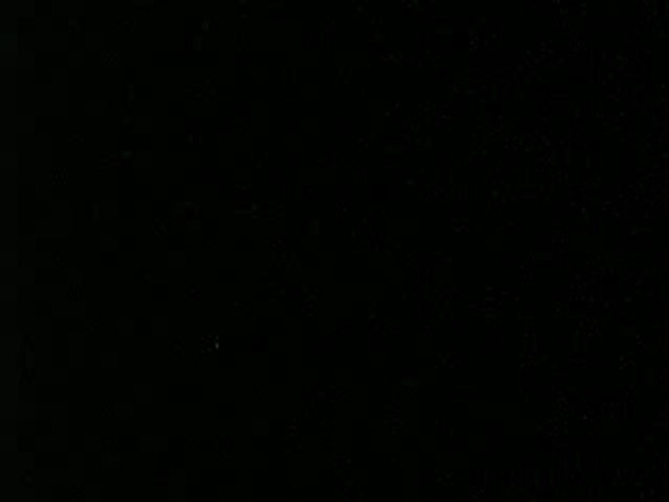 MVI_0306