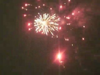 Mon feu d'artifice 2010