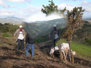 homage à mon pére cherabi djemâa ouayati de beni achache 1