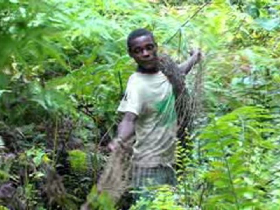 Pour 2010 meilleurs voeux aux Pygmées et à Vous!