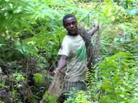 Pour 2010 meilleurs voeux aux Pygmées et à Vous!