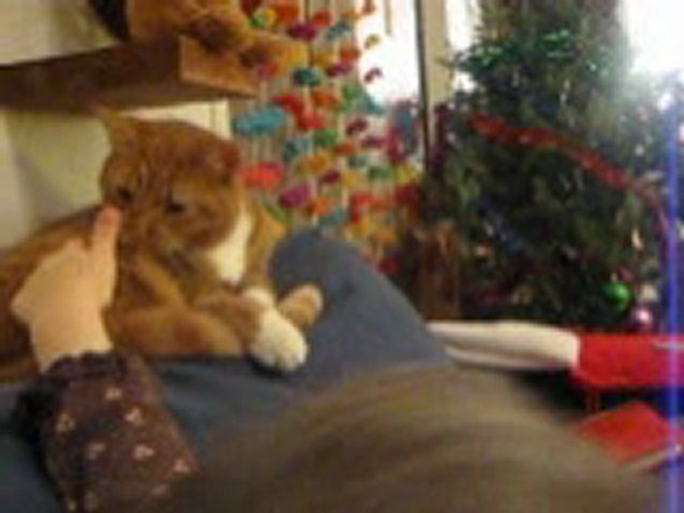 suite du livre de La sieste