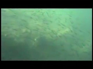 Saison de peche 2010