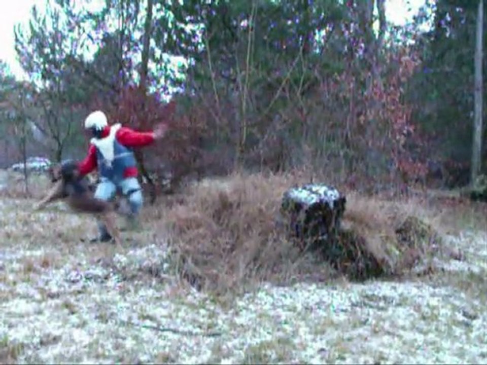 frappe muselée malinois securité maitre chien