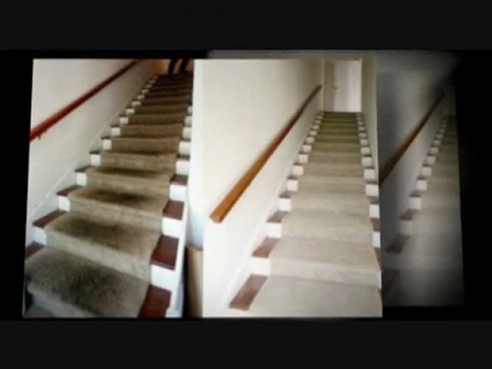 Carpet Cleaners Reston Va (carpet cleaning) FREE STAIN..