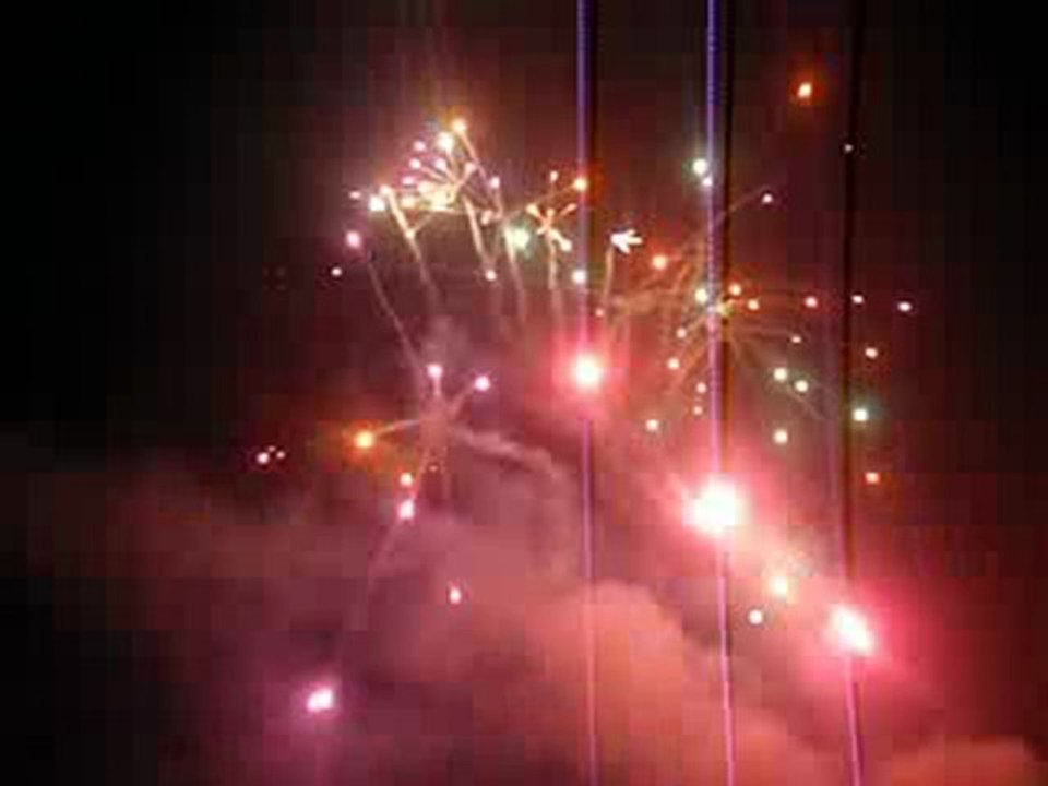 Bonne année 2010 réunionnaise !!!!