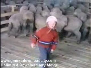 At war with little creatures funny videos