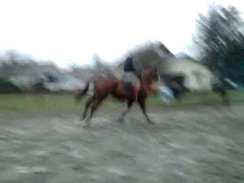 mwa é gai de la becane au saut a 1m20